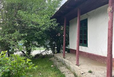 Teren de 1183 mp, în Surlari - 8