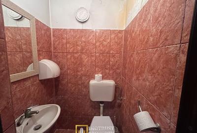 Spatiu comercial de vanzare zona Bou Rosu - 9