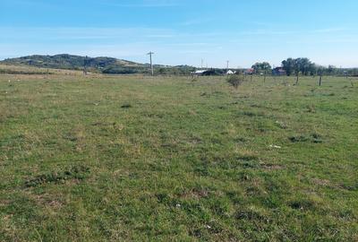 Intravilan - 3