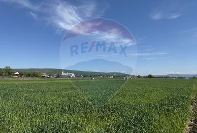 Teren intravilan 1.400 mp, imprejmuit integral - Livada, comuna Iclod - 11