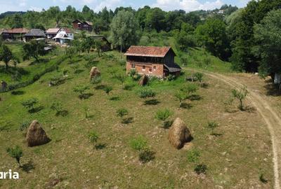 Teren de 6200 mp, în Cicănești - 9