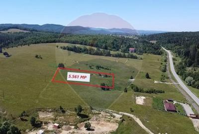 Teren de 5561 mp, în Paltin - 3