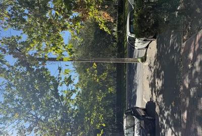 Apartament 4 camere DECOMANDAT N.Grigorescu-Titan - 1