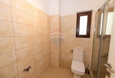 Casa / Vila spatioasa P+1+M de vanzare zona Padurea Cernica - 12