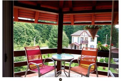 Complex Turistic Pensiune Si Vila Predeal - 13