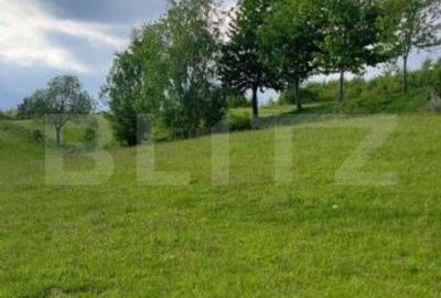 Teren de 4500 mp, în Vidra - 4