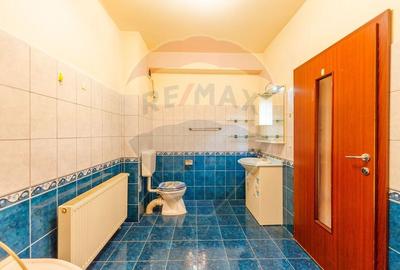 Apartament cu 3 camere de inchiriat - Zona Intim - 12