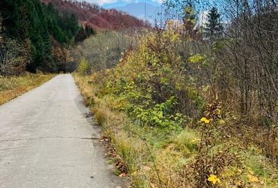 Teren Construcții intravilan de 4877 mp, în Mara - 2