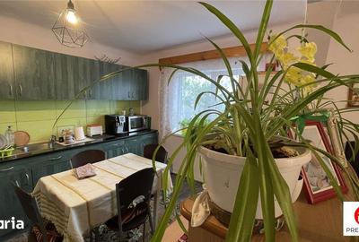 Casă cu 4 camere decomandat cu Teren 2500 Mp în Gheorghe Doja - 19