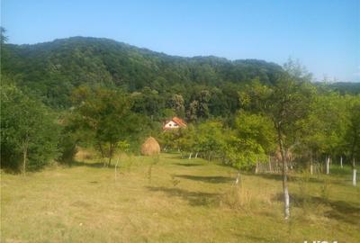 Casă cu 6 camere cu Teren 4000 Mp în Săvârșin - 4