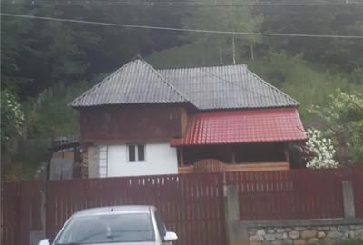 Teren de 2000 mp, în Bradu - 8