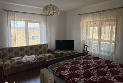 Casă cu 3 camere cu Teren 10000 Mp în Mitocu Dragomirnei - 6