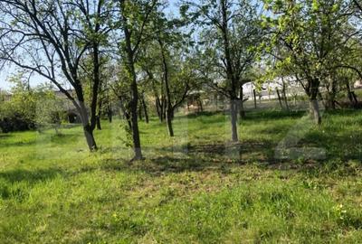 Casă cu 4 camere cu Teren 4000 Mp în Central - 2