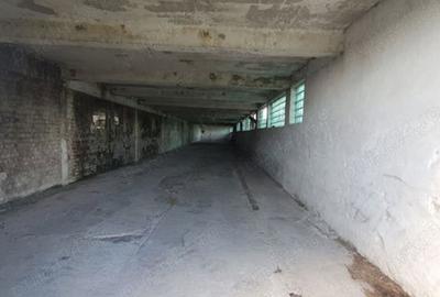 Teren de 5000 mp, în Remetea Mare