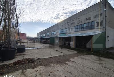 Spațiu comercial, în Oncea - 9