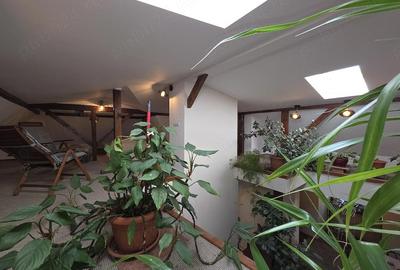 Apartament cu 6 camere decomandat în Ferdinand - 8