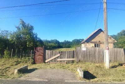 Teren de 2800 mp, în Jdioara - 4