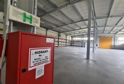 Spațiu industrial, de 1,038 mp, în Ronaț - 11