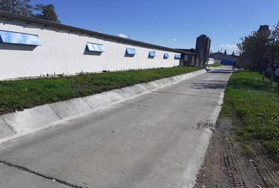 De vanzare hala de 1933 mp.+ teren 4620 mp., Satu Mare, 360000 Eur - 2