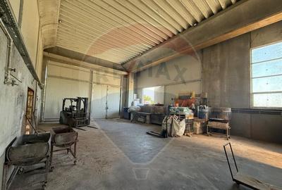 DE VANZARE Hala productie/depozitare - 16