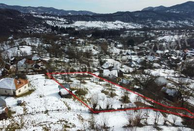 Teren de 3011 mp, în Bradu - 7