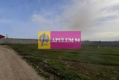 Teren de 369 mp, în 1 Decembrie - 5