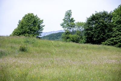 Teren intravilan - 1.050 mp în Bran cu utilitati – priveliște Bucegi - 7