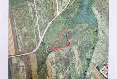 Spațiu comercial, în Vlădiceasca - 11