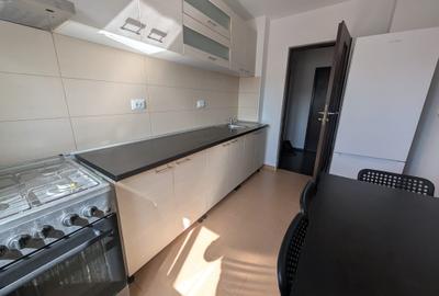 Apartament cu 2 camere decomandat, mobilat în Banu Manta - 3