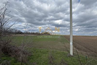 Spațiu comercial, în Șag - 1