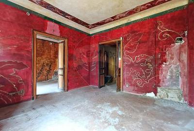 Vanzare Vila Interbelica Stradala, Pta Regina Maria, Ocazie Investitie - 18