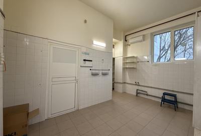 Spatiu Aviatiei - Caramfil / De inchiriat - 9