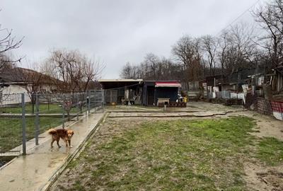 Teren de 1000 mp, în Exterior Vest - 3