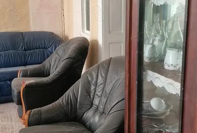 Casa si teren ideal pentru legumicultura - 4