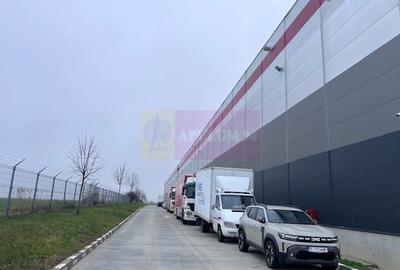 Teren Domnesti- Depozit Altex, Emag - 4