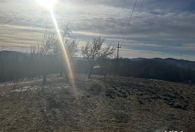 Teren de 8040 mp, în Mățău - 3