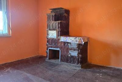 Casă cu 2 camere cu Teren 1585 Mp în Brănișca - 6