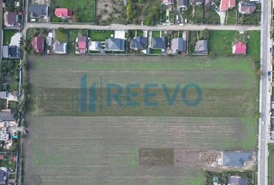 Teren de 5000 mp, în Bogdan Vodă - 6