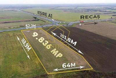 Teren extravilan langa Autostrada | Remetea Mare - 1