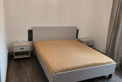 Apartament cu 2 camere decomandat în Beba Veche - 7