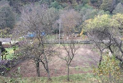 Teren în Sibișel (Beriu) - 1