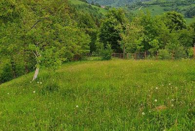 Spațiu comercial, în Peștera - 5