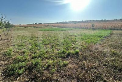 Teren de 500 mp, în Oarda - 3