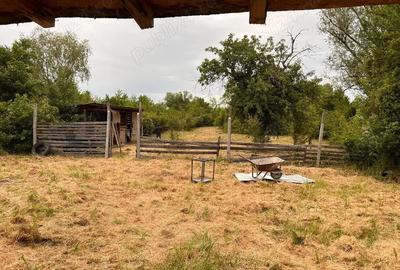 Casă cu 3 camere cu Teren 3300 Mp în Central - 1