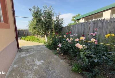 Casă cu 4 camere cu Teren 1388 Mp în Geamăna - 8