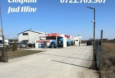 Teren de 1000 mp, în Ciolpani - 3