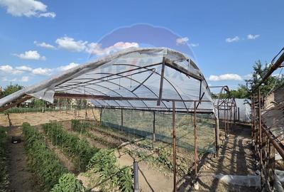 Casa cu gradina si solarii de legume - 17