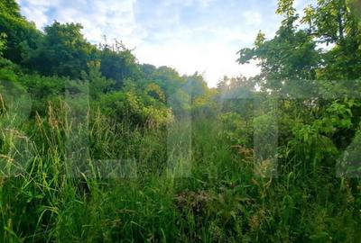 Teren de 1628 mp, în Central - 7