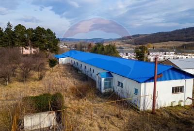 Spațiu industrial, de 800 mp, în Traian