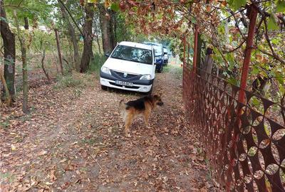 Casă în Central - 4